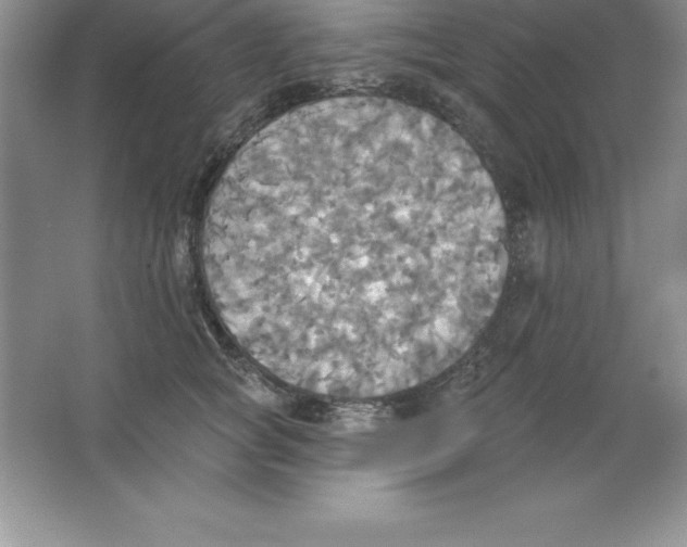 X0000063510757200602101925