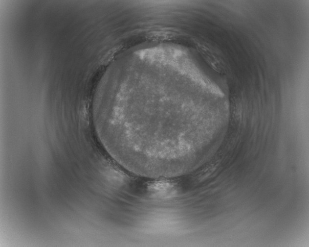 X0000063510759200602101925