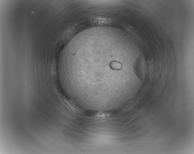 X0000063510760200602101925