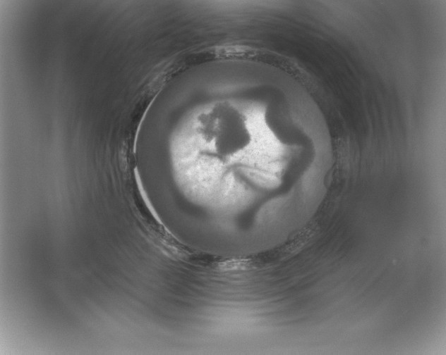 X0000063510761200602101925