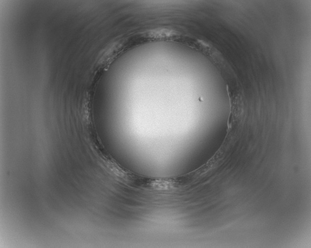 X0000063510762200602101925