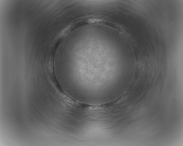 X0000063510763200602101925