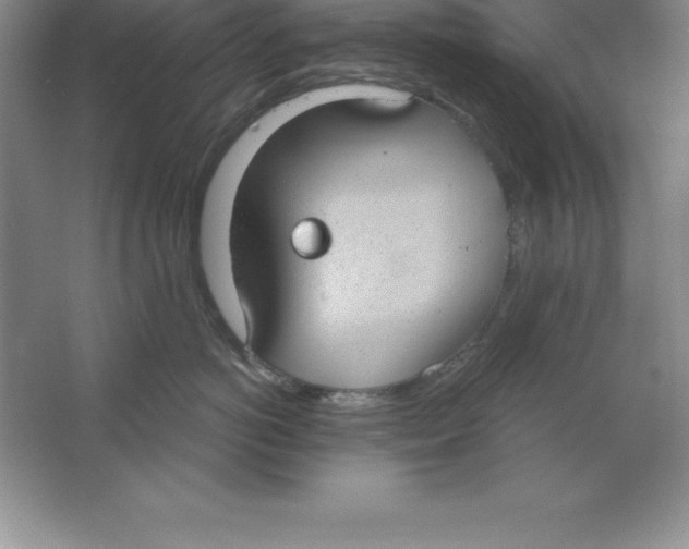 X0000063510766200602101925