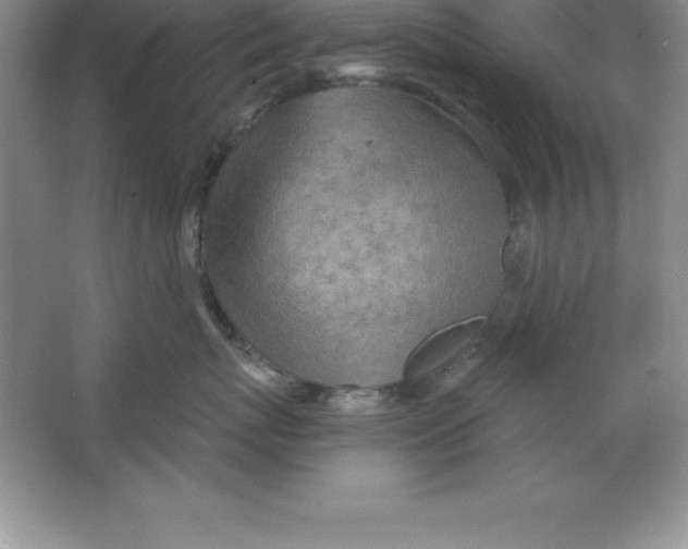 X0000063510767200602101925