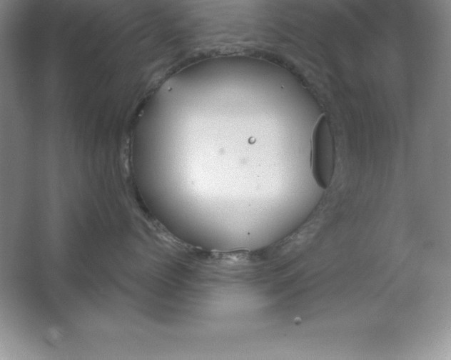 X0000063510768200602101925