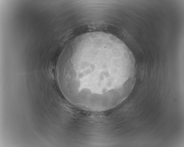 X0000063510770200602101924