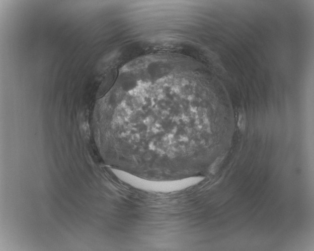 X0000063510771200602101924