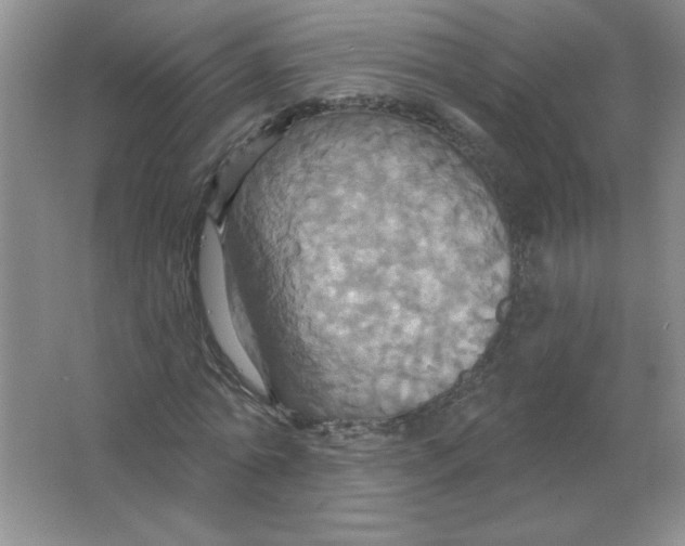 X0000063510774200602101924