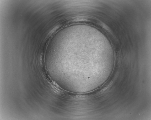 X0000063510777200602101924