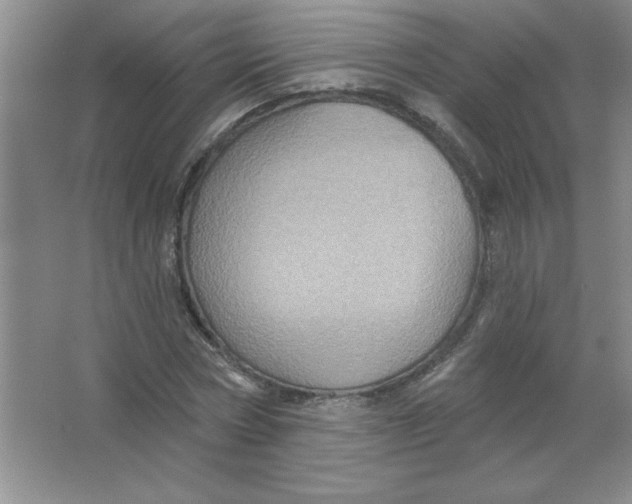 X0000063510778200602101924