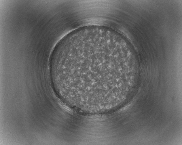 X0000063510779200602101924