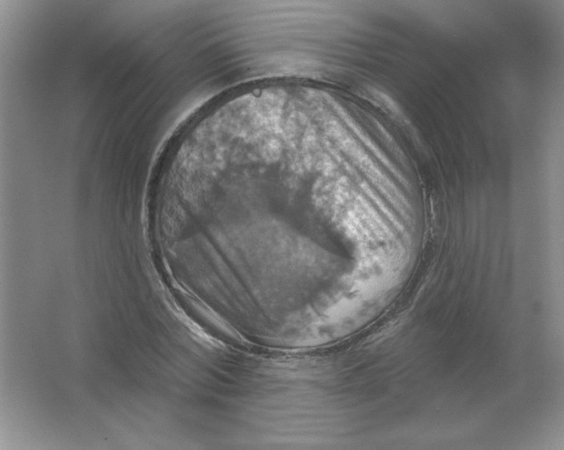 X0000063510780200602101924