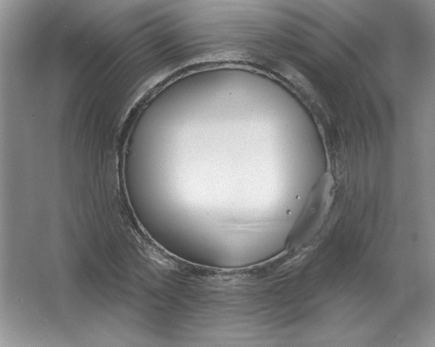 X0000063510781200602101924