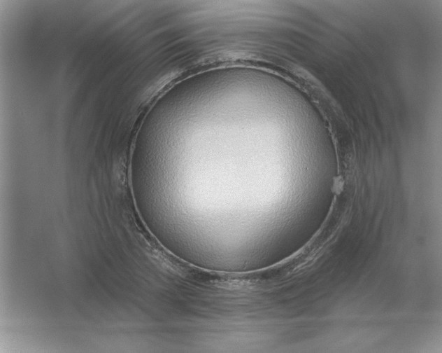 X0000063510785200602101924