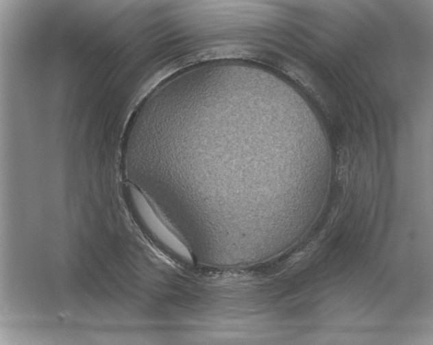 X0000063510786200602101924