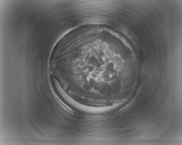 X0000063510787200602101924