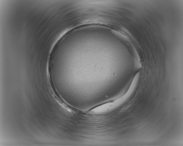 X0000063510788200602101924