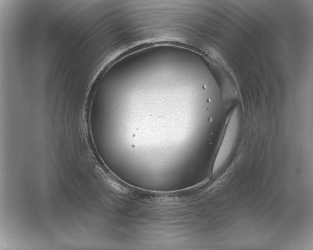 X0000063510789200602101924