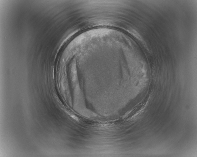 X0000063510790200602101924