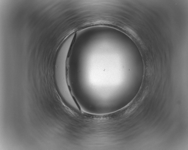 X0000063510793200602101924