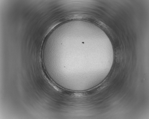 X0000063510794200602101924