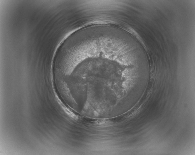 X0000063510795200602101924