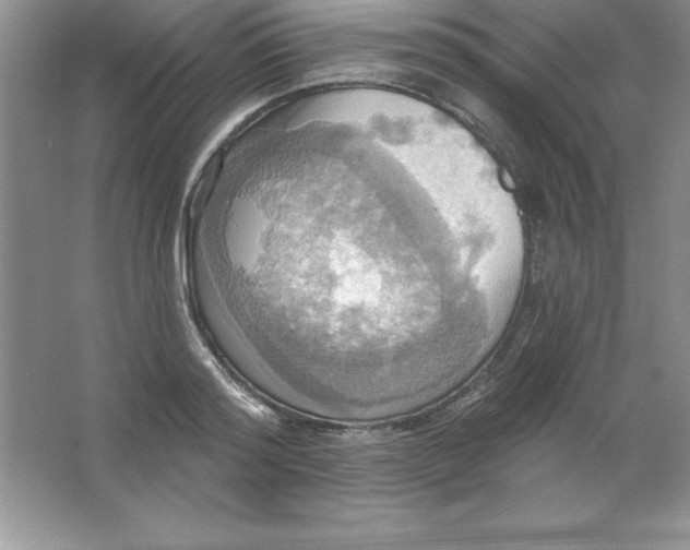 X0000063510796200602101924