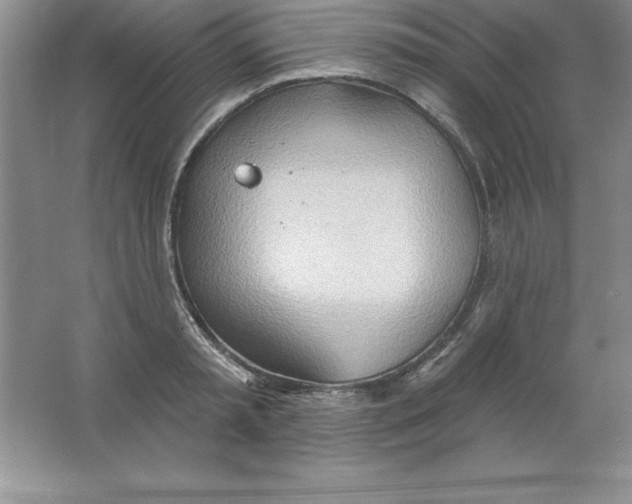 X0000063510797200602101924