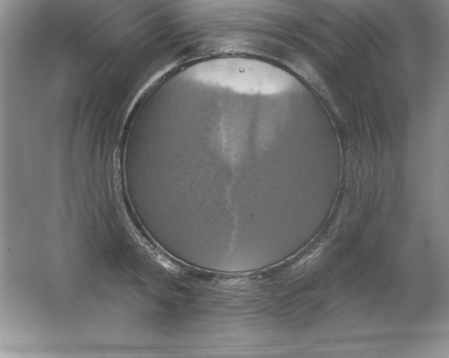 X0000063510798200602101924