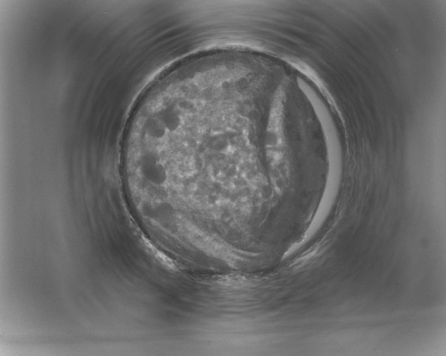 X0000063510799200602101924