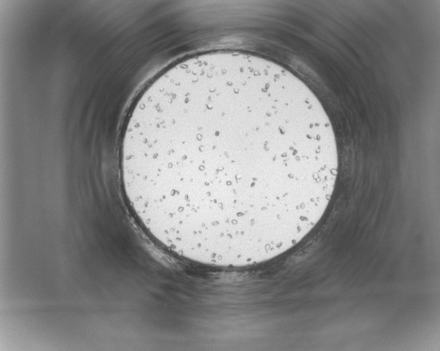 X0000063510800200602101924