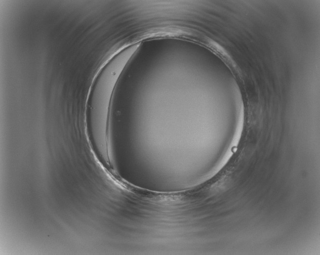 X0000063510802200602101924