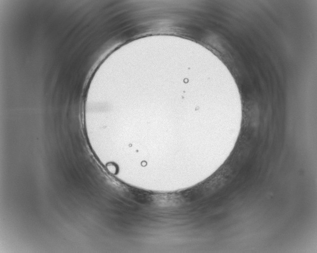 X0000063510804200602101924