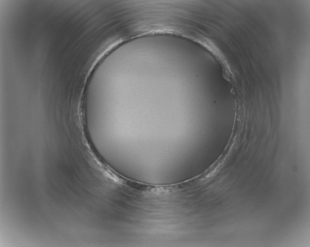 X0000063510806200602101924