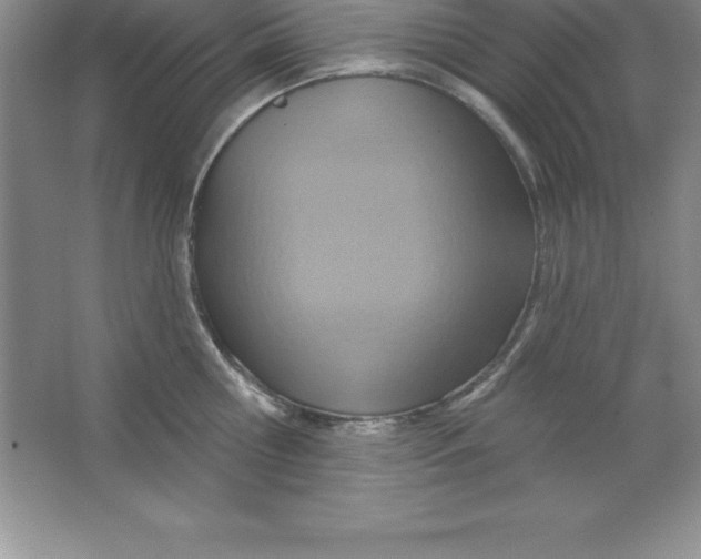 X0000063510810200602101924