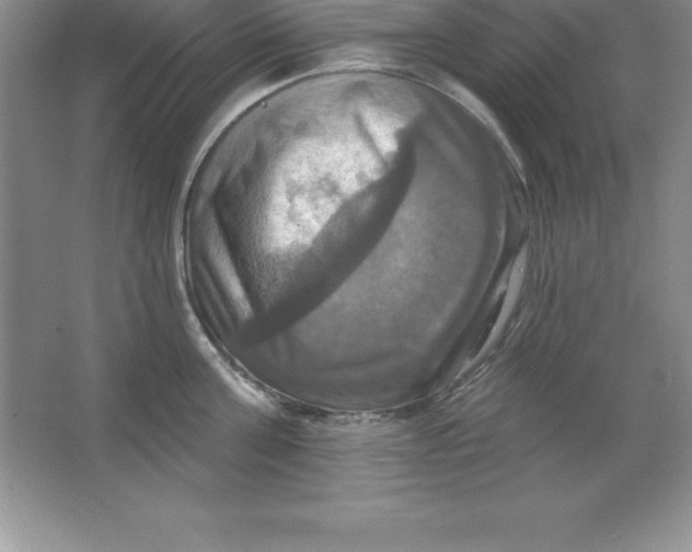 X0000063510811200602101924