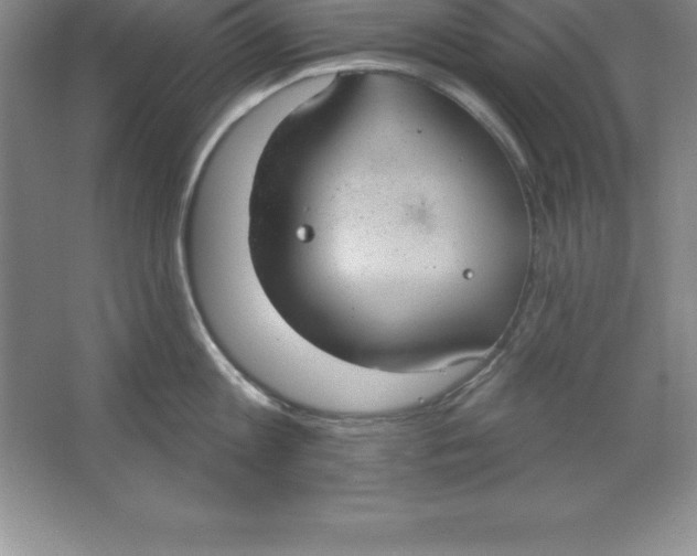 X0000063510813200602101924