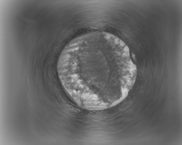 X0000063510817200602101923