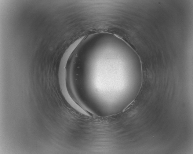 X0000063510818200602101923