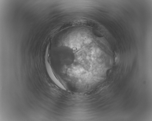 X0000063510819200602101923