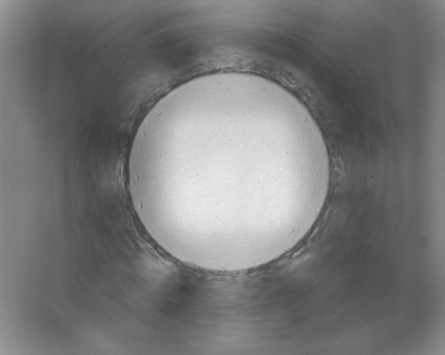 X0000063510820200602101923