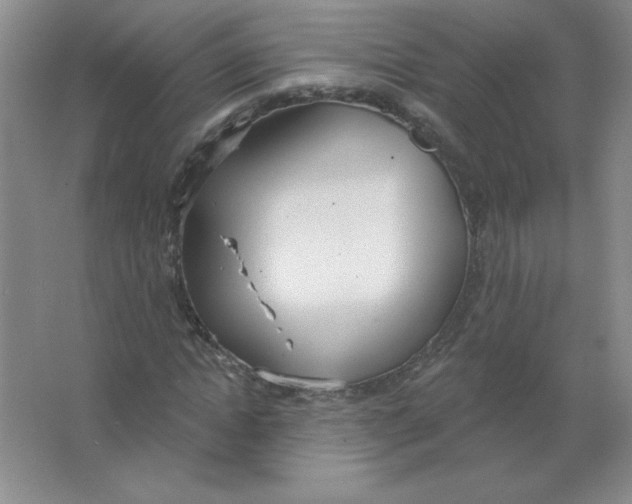 X0000063510822200602101923