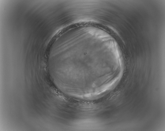 X0000063510823200602101923