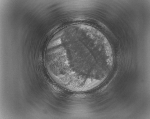 X0000063510825200602101923