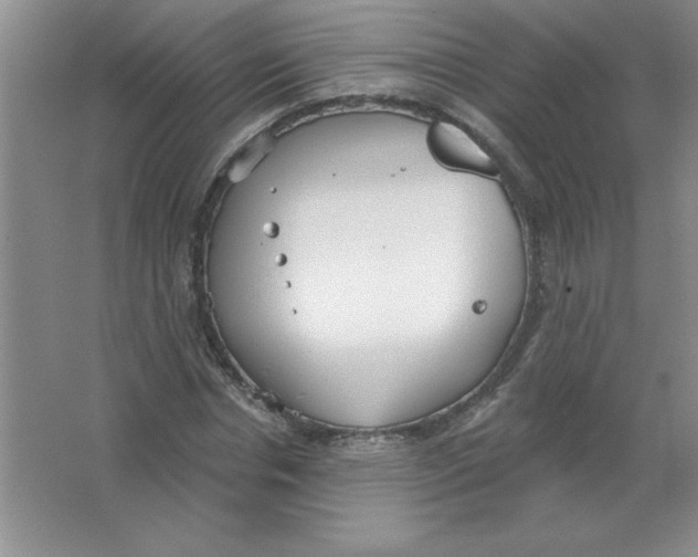 X0000063510826200602101923