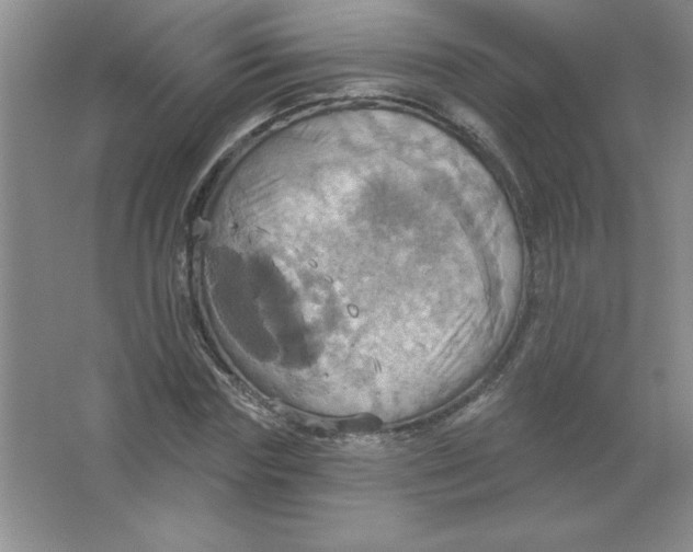 X0000063510827200602101923