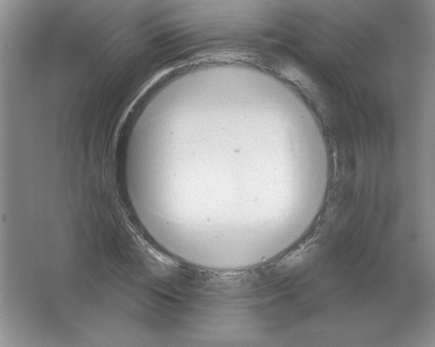 X0000063510828200602101923