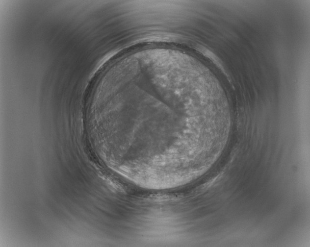 X0000063510829200602101923