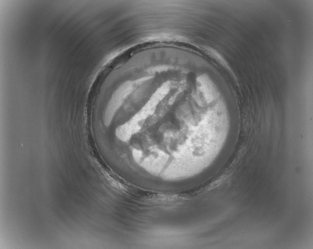 X0000063510831200602101923