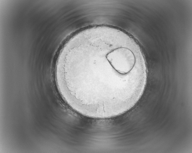 X0000063510832200602101923